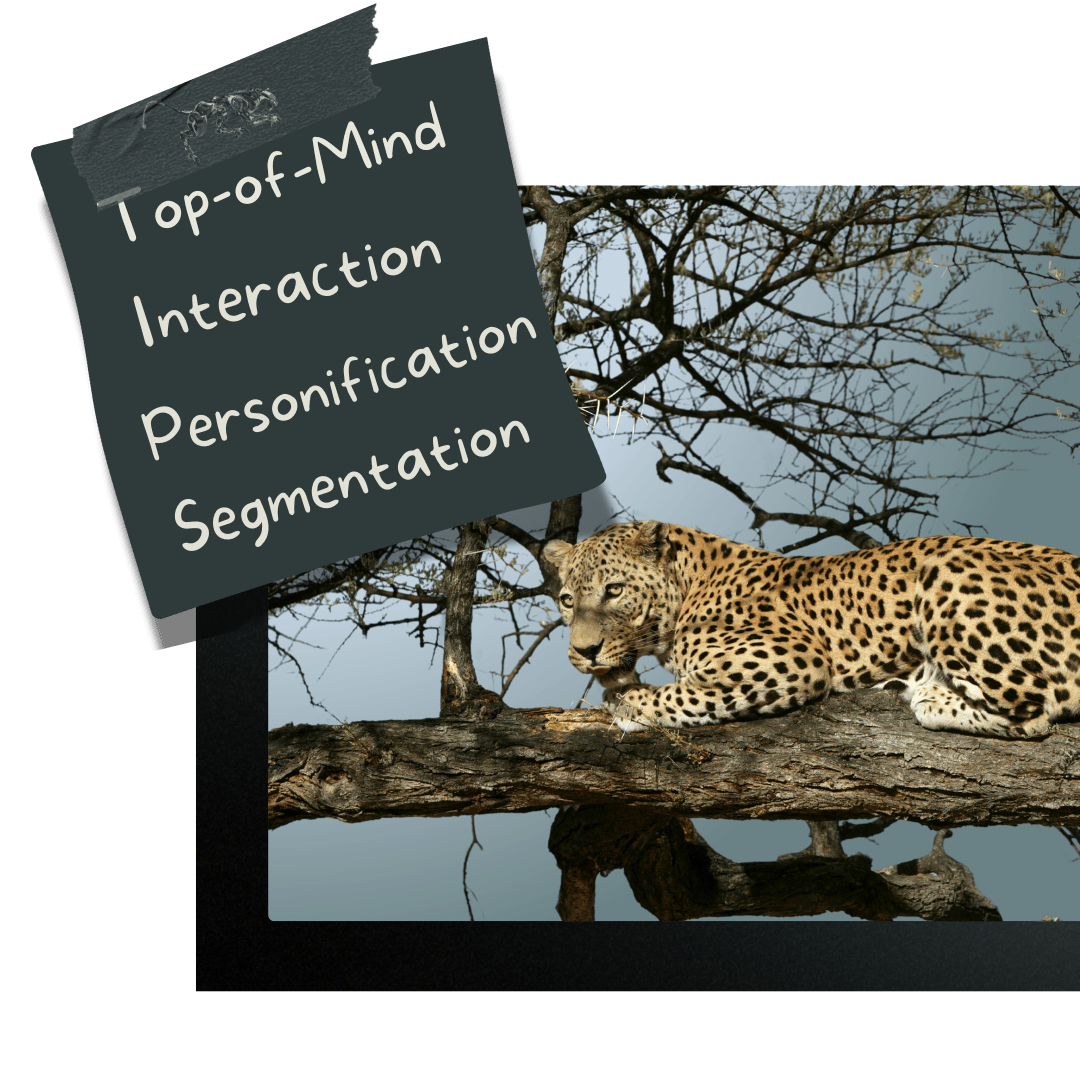 Email CRM & Automation Pantherix Solutions