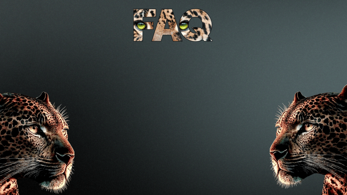 FAQ en Contact Pantherix Solutions