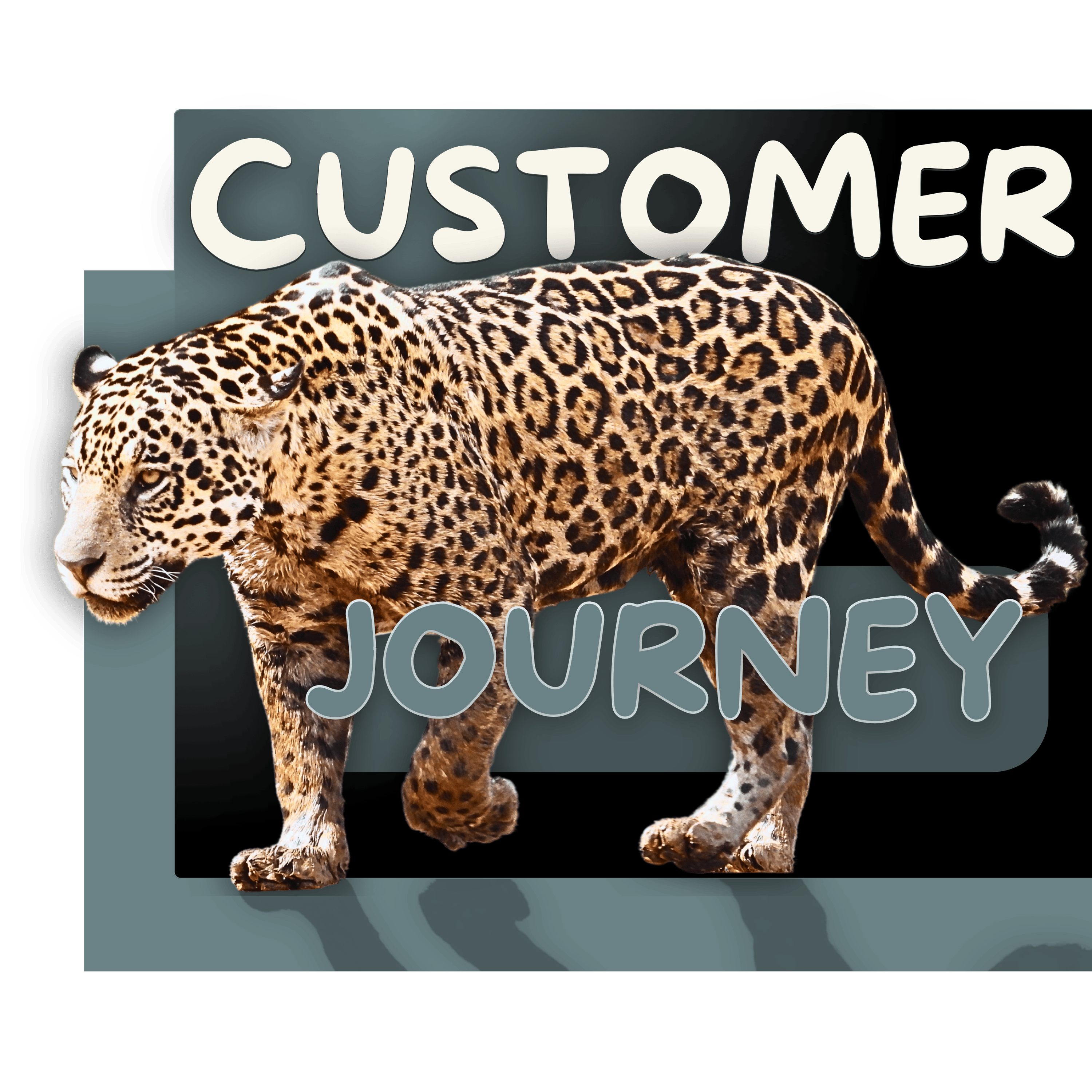 pantherix solutions sociale mediamarketing met funnels