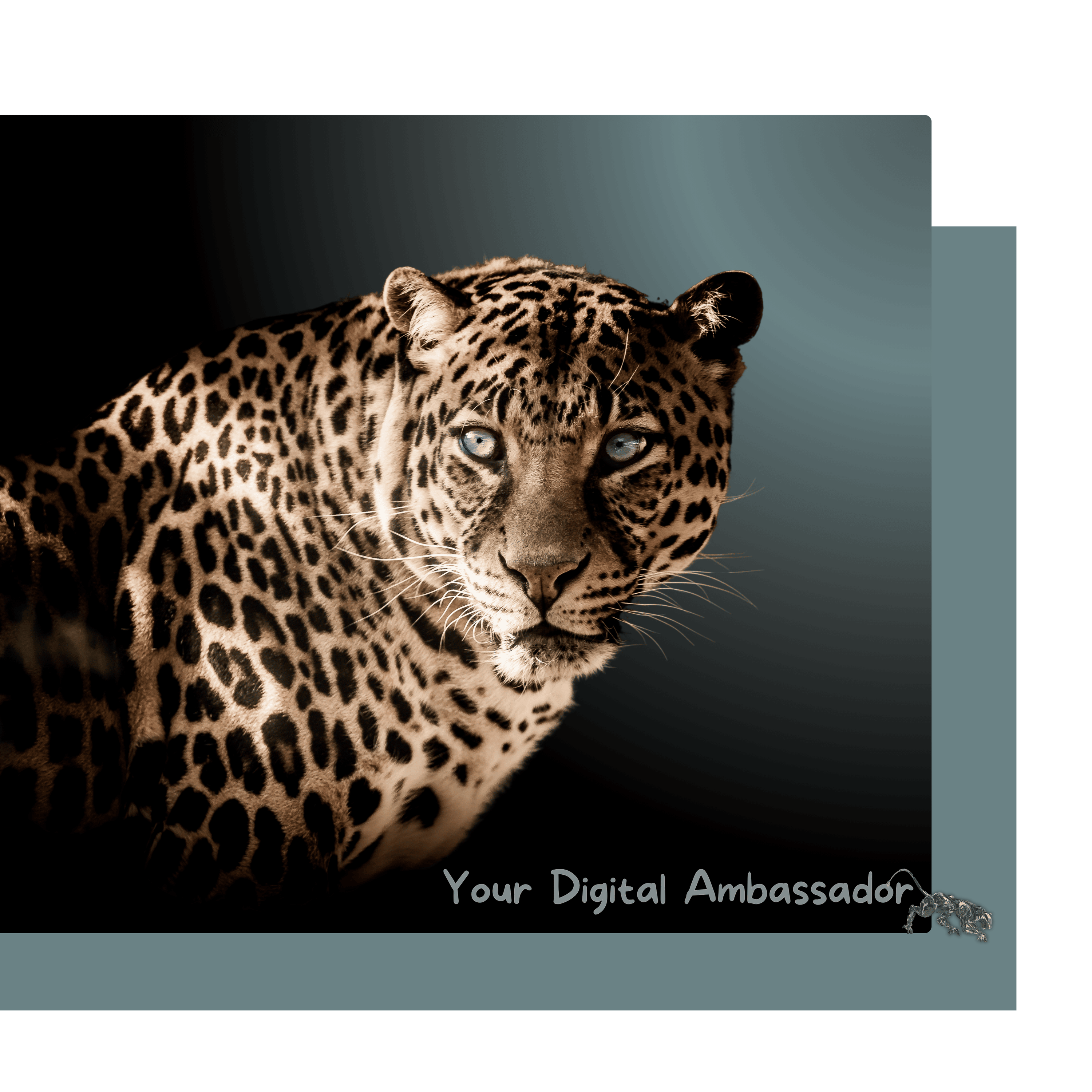 Online Marketing Pantherix Solutions