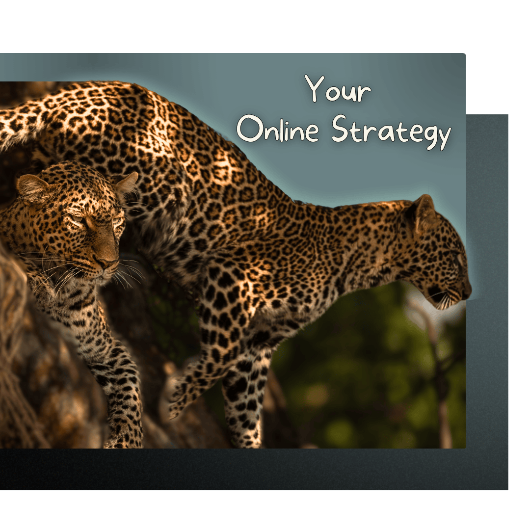 Oprichter Pantherix Solutions