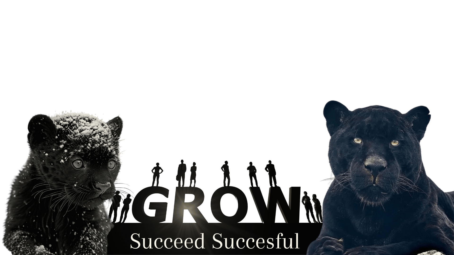 Growth success Funnel Marketing Pantherix Solutions