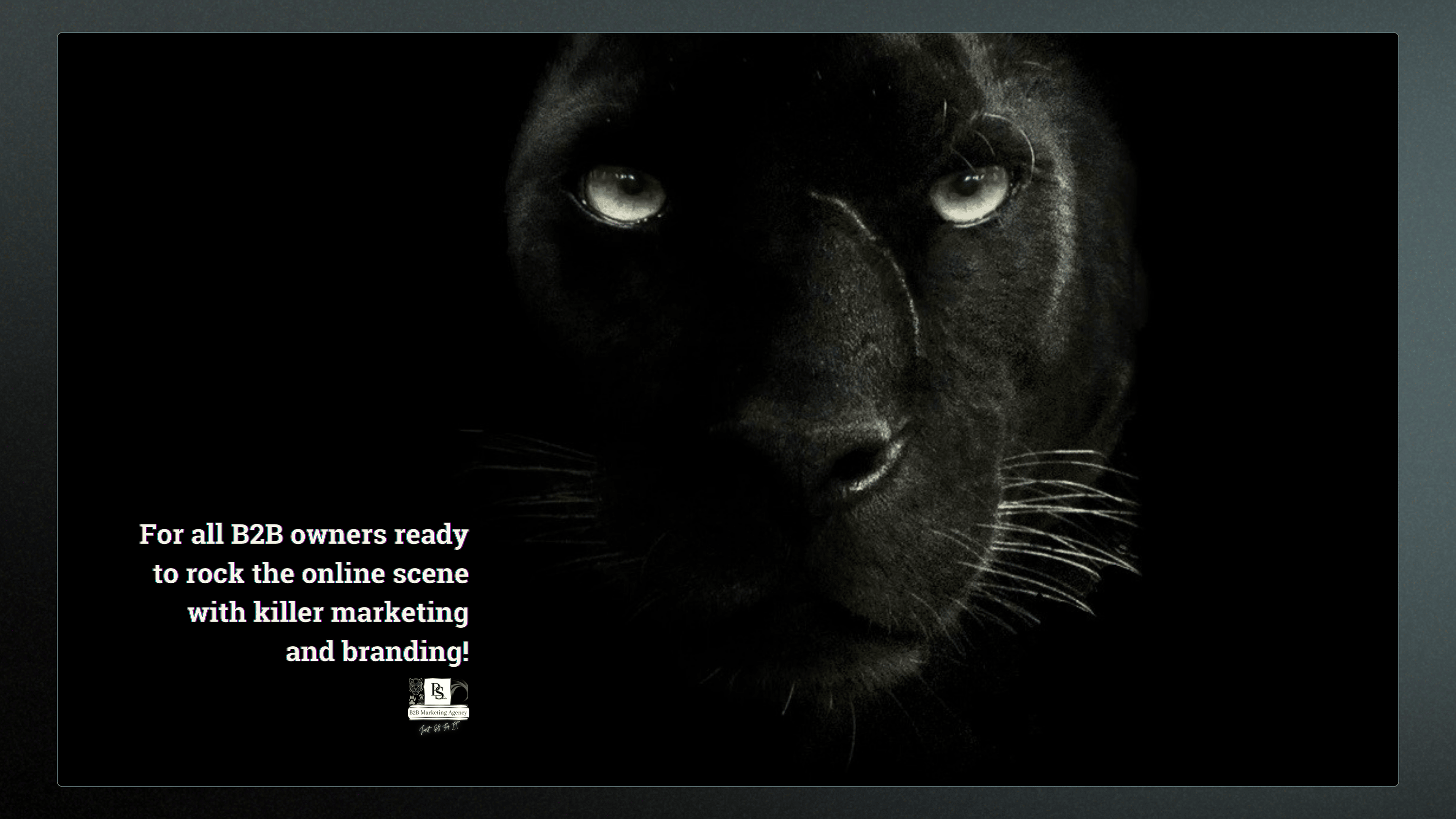 Pantherix Solutions Marketing Bureau Amersfoort Nederland